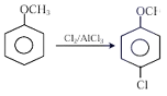 Option D figure