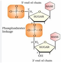 Solution figure