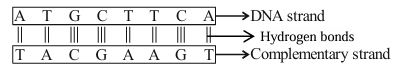 Solution figure