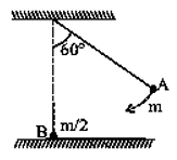 Question 31 figure