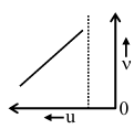 Option D figure