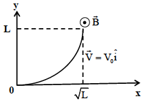 Question 5 figure