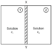 Question 10 figure