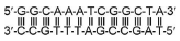 Solution figure