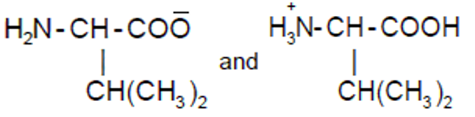 Option A figure