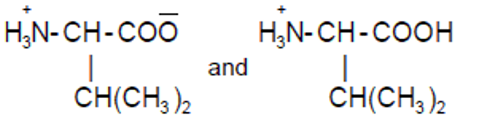 Option C figure