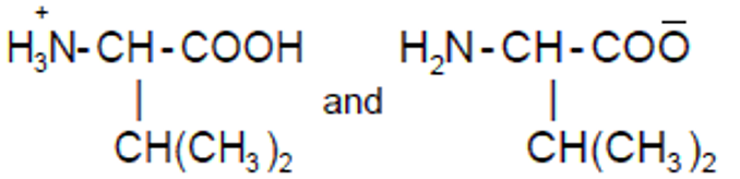 Option D figure