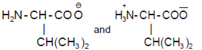 Option B figure