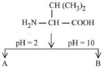 Question figure
