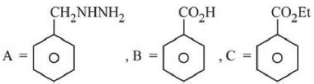 Option B figure