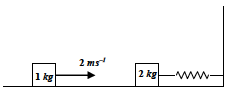 Question 10 figure