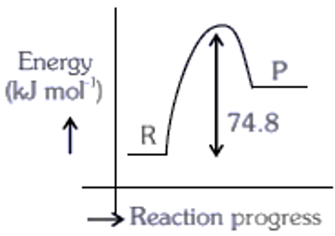 Option B figure