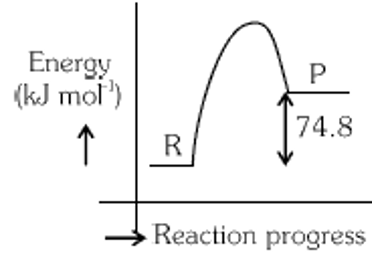 Option D figure