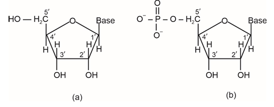 Solution figure