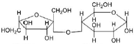 Option B figure